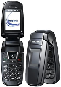 Samsung Sgh-x300 Reparatur